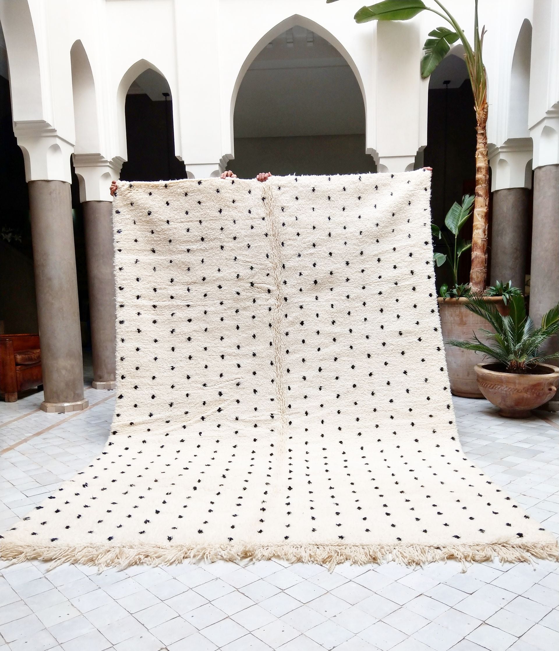 Flöckli BENI OURAIN