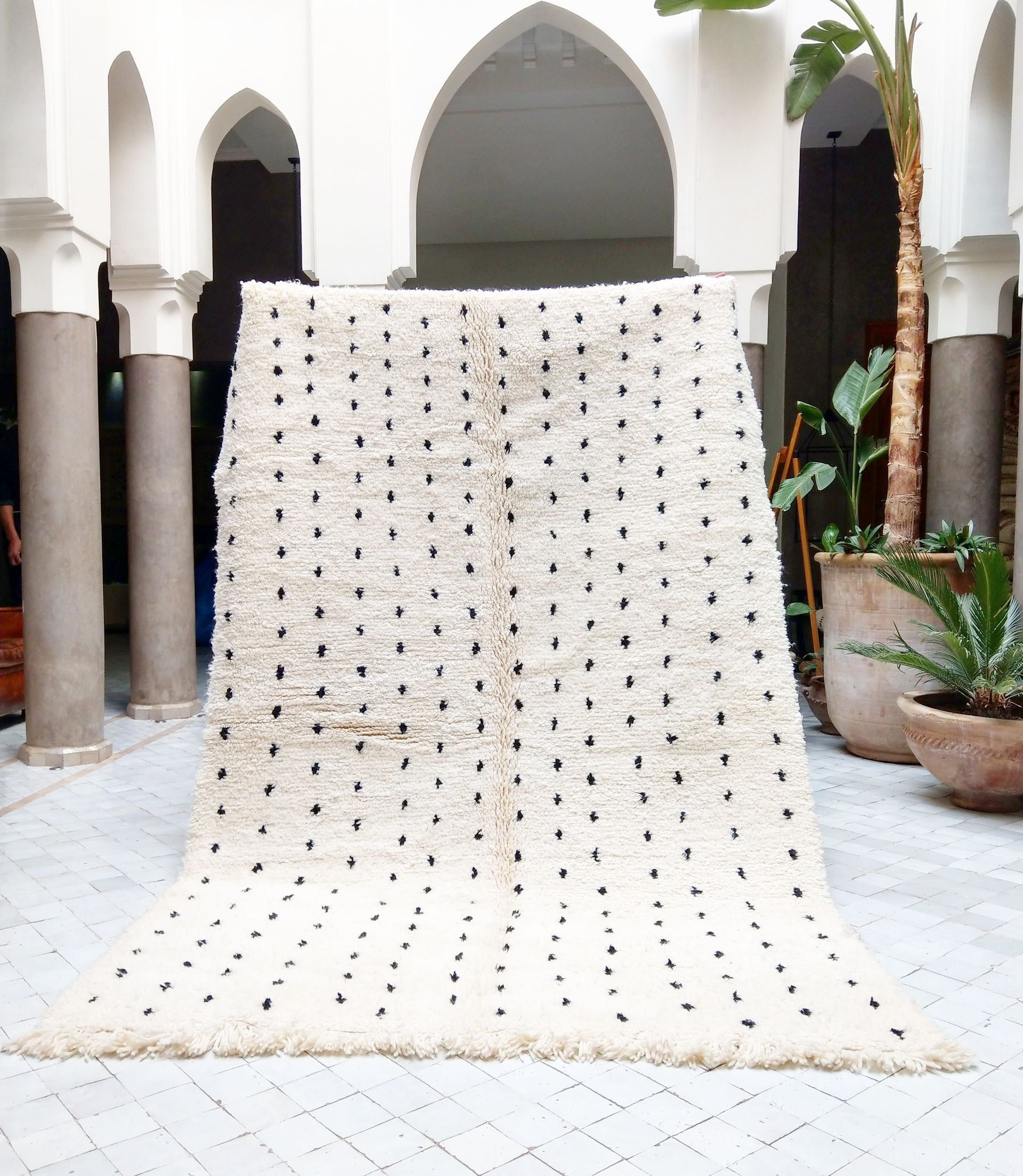 Flöckli BENI OURAIN