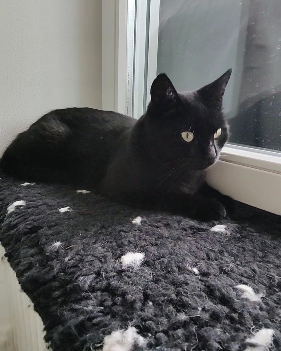 Katzenteppich aus Wolle für Fensterbank 