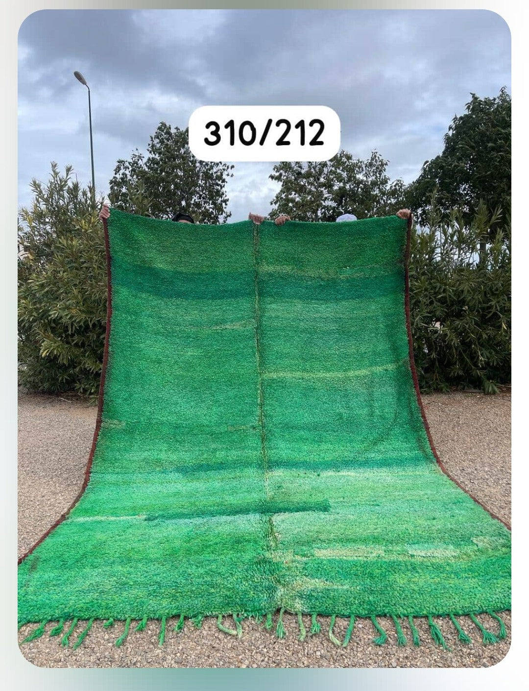 Shades of Green BOUJAAD SABINE